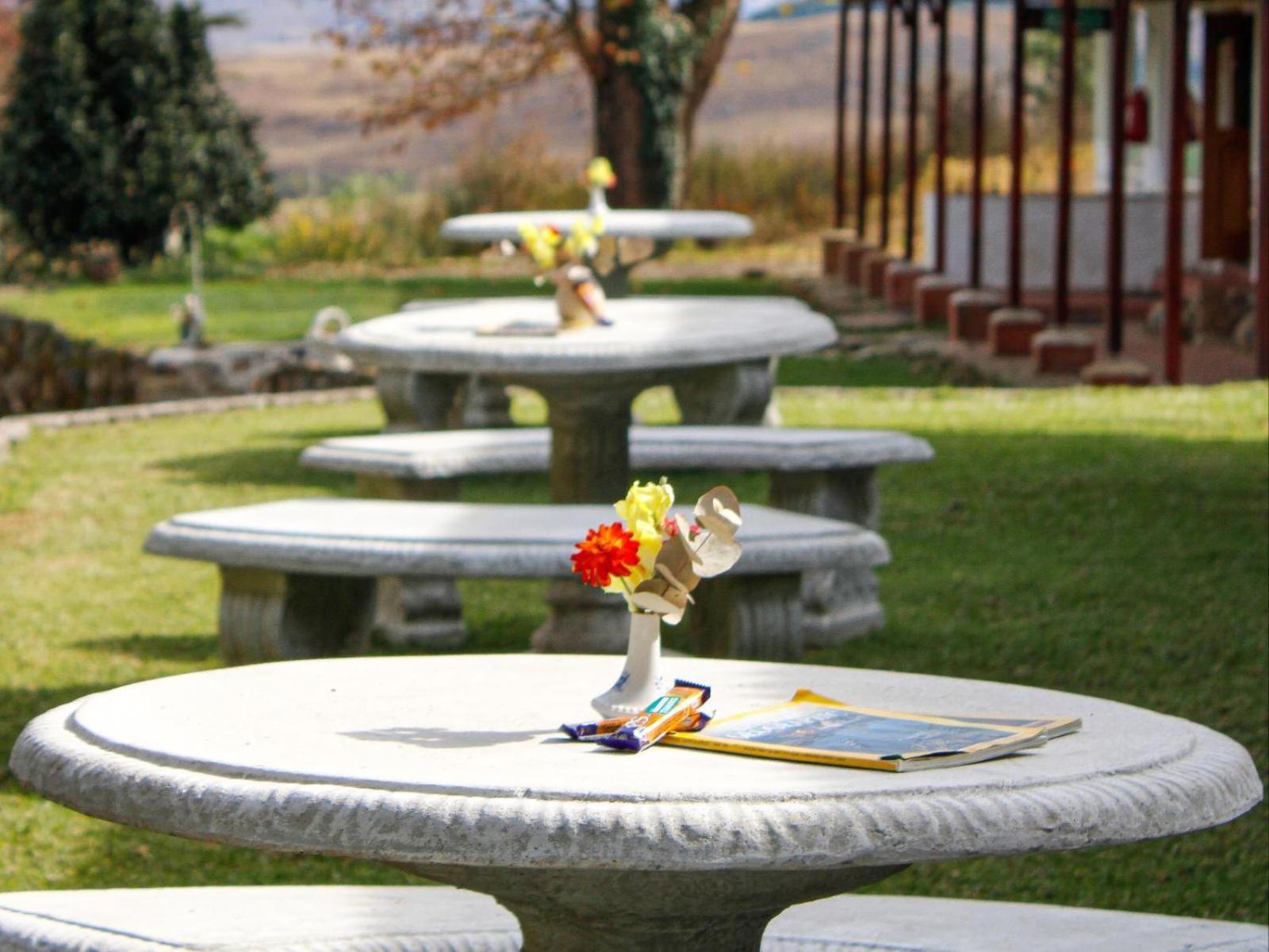 Tumble In Bed and Breakfast Underberg Εξωτερικό φωτογραφία